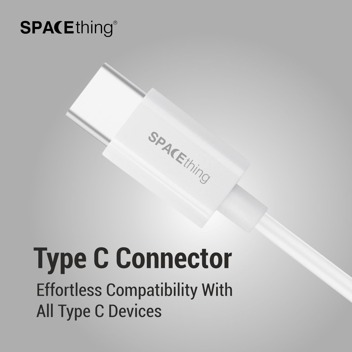 Spacething Veria Tune Type-C Earphone